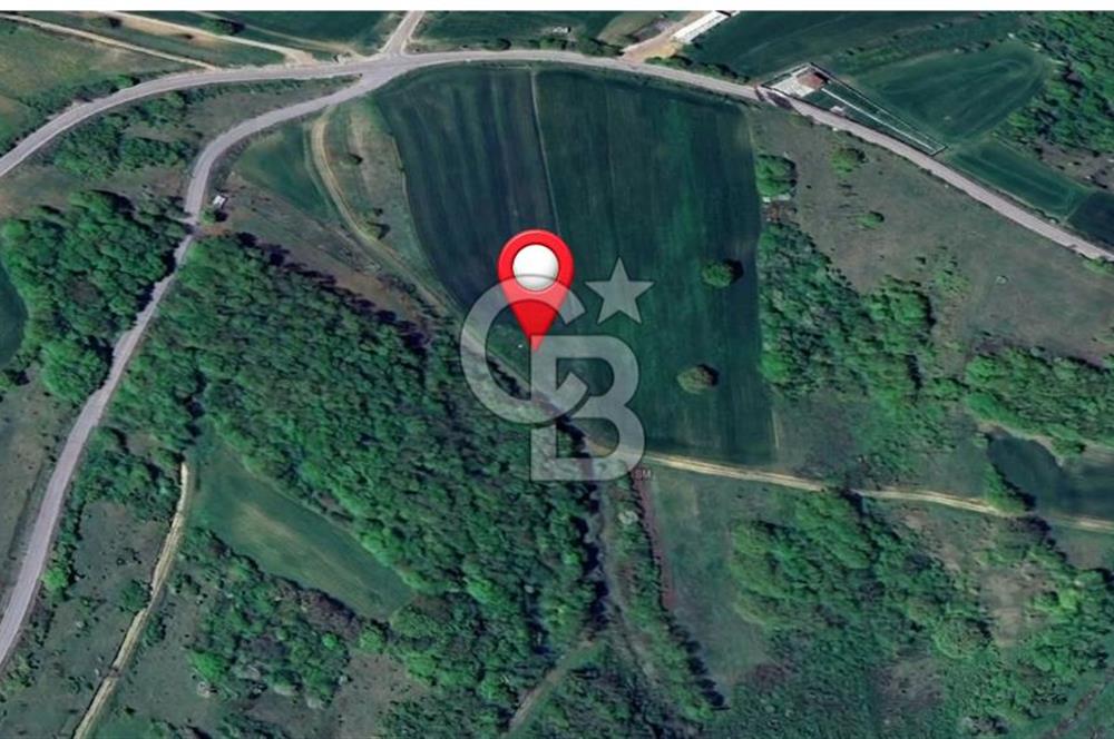 KOCAELİ KÖRFEZ KARAYAKUPLU'DA 1.000 m² MÜSTAKİL TAPULU