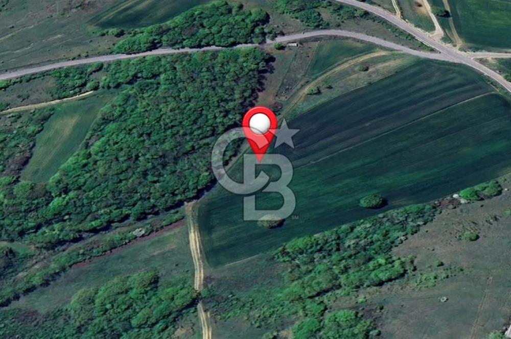 KOCAELİ KÖRFEZ KARAYAKUPLU'DA 1.000 m² MÜSTAKİL TAPULU