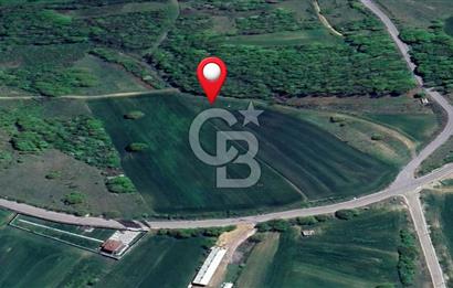 KOCAELİ KÖRFEZ KARAYAKUPLU'DA 1.000 m² MÜSTAKİL TAPULU