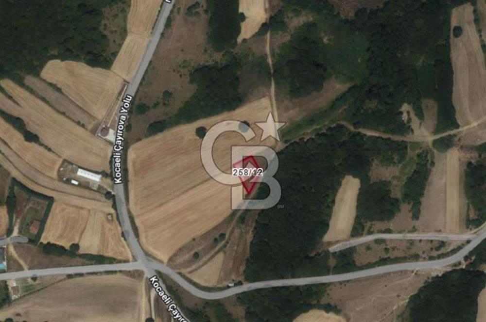 KOCAELİ KÖRFEZ KARAYAKUPLU'DA 1.000 m² MÜSTAKİL TAPULU