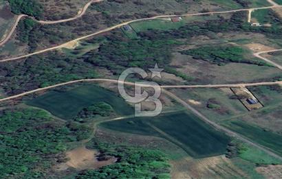 KOCAELİ KÖRFEZ KARAYAKUPLU'DA 1.440,83 m² MÜSTAKİL TAPULU