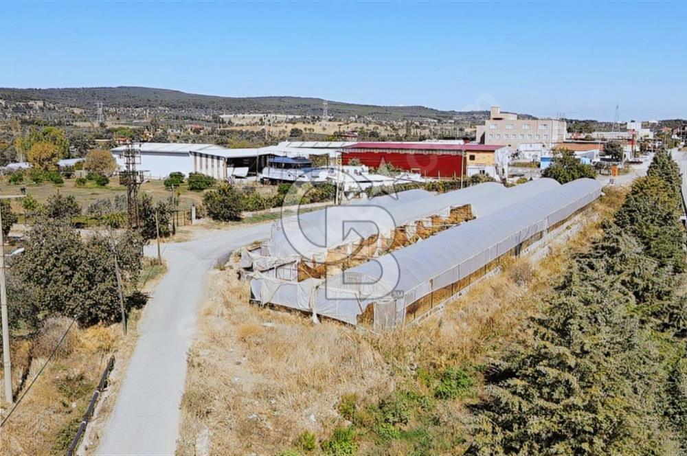 BADEMLER GÜZELBAHÇE YOLUNDA 1550 M² ARAZİ