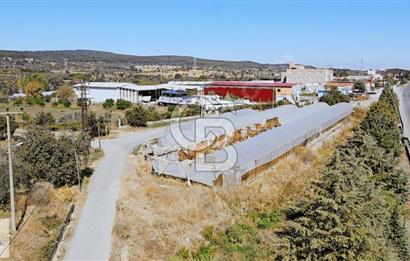 BADEMLER GÜZELBAHÇE YOLUNDA 1550 M² ARAZİ