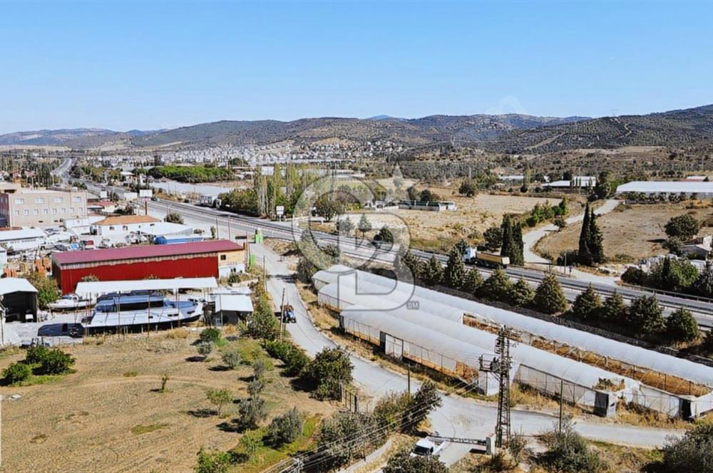 BADEMLER GÜZELBAHÇE YOLUNDA 1550 M² ARAZİ