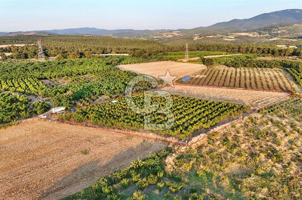 Lapseki Umurbeyde Altyapılı Satılık Yatırımlık Tarla