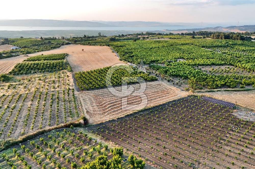 Lapseki Umurbeyde Altyapılı Satılık Yatırımlık Tarla