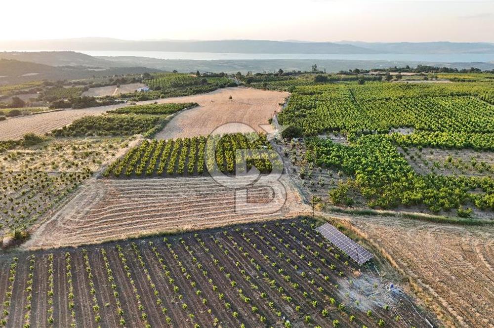 Lapseki Umurbeyde Altyapılı Satılık Yatırımlık Tarla