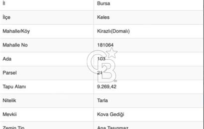 CB BLACK'TAN BURSA KELES KİRAZLI'DA SATILIK TARLA
