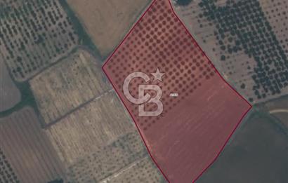 Lapseki Umurbeyde Altyapılı Satılık Yatırımlık Tarla