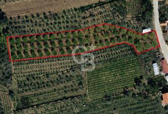 ISPARTA EĞİRDİR'DE GÖLE YAKIN SATILIK ARSA - 4 - 364507