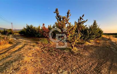 Lapseki Umurbeyde Altyapılı Satılık Yatırımlık Tarla