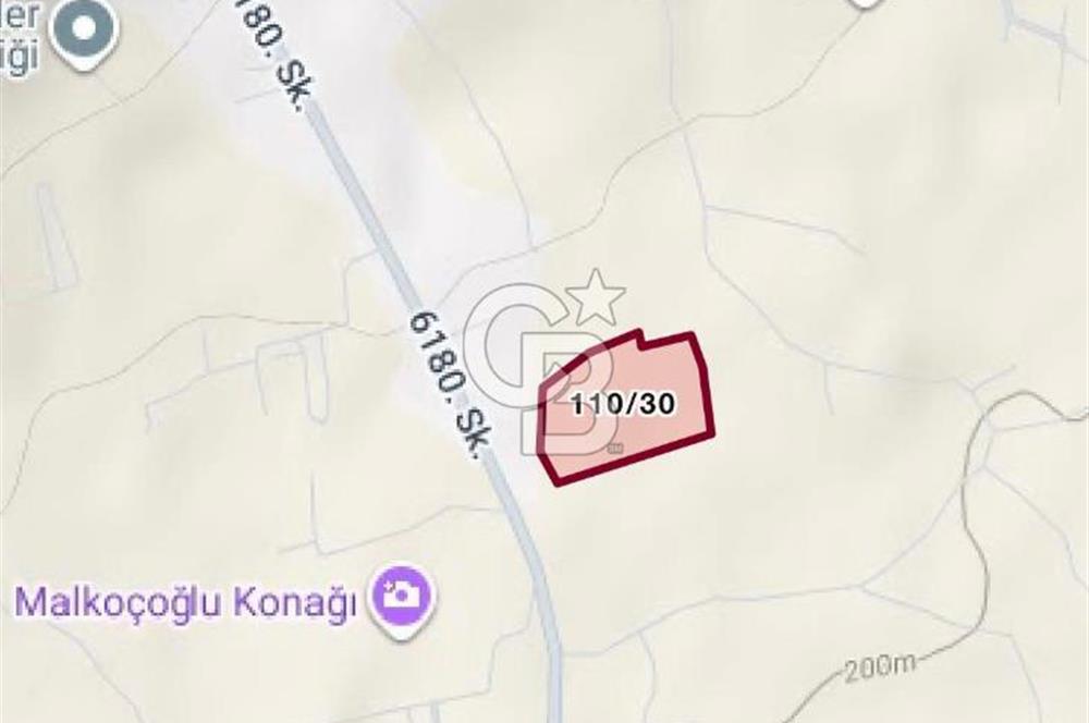 Torbalı Dağkızılca Satılık Zeytinlik