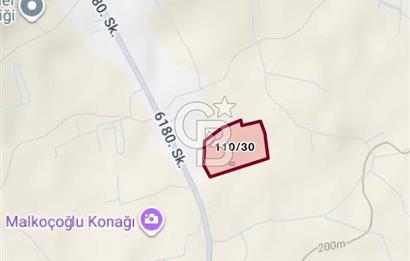 Torbalı Dağkızılca Satılık Zeytinlik