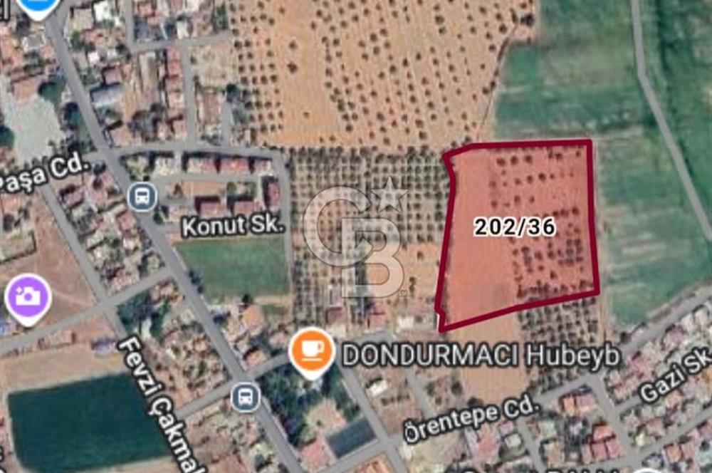 Bayındır Çırpı Merkezde Satılık 2.000 m2 Tarla