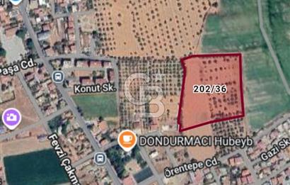 Bayındır Çırpı Merkezde Satılık 2.000 m2 Tarla