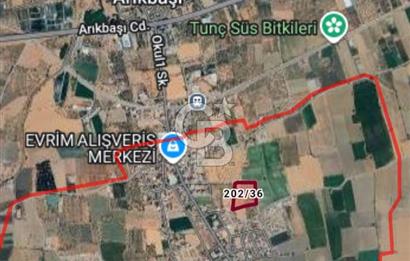 Bayındır Çırpı Merkezde Satılık 2.000 m2 Tarla