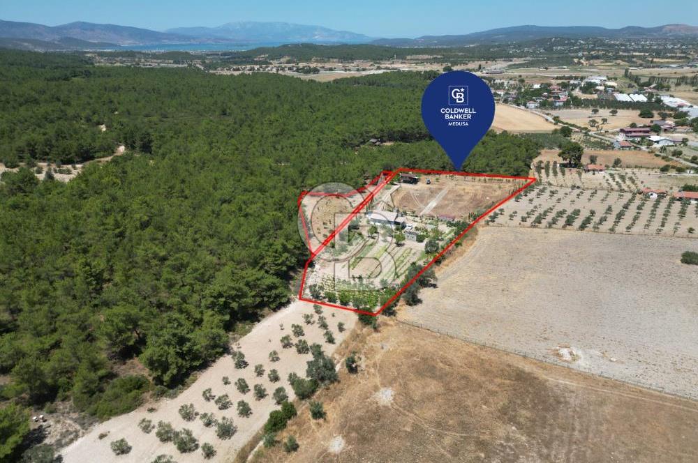 URLA KUŞÇULARDA SATILIK ÇİFTLİK