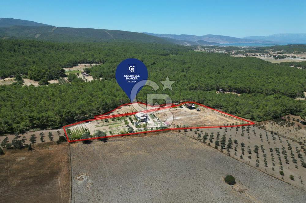 URLA KUŞÇULARDA SATILIK ÇİFTLİK