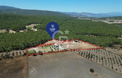 URLA KUŞÇULARDA SATILIK ÇİFTLİK