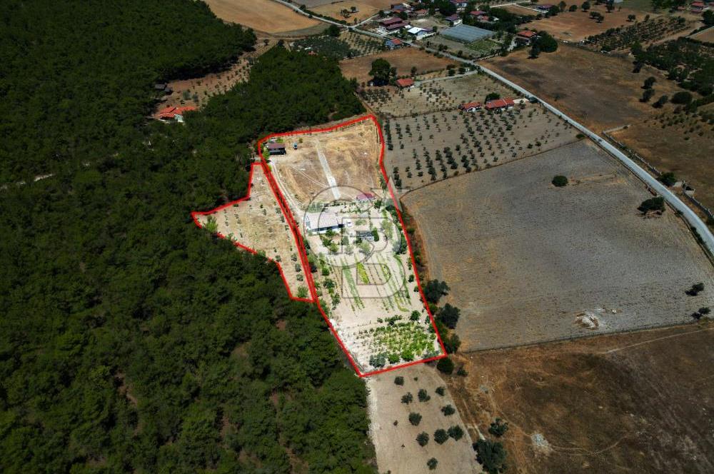 URLA KUŞÇULARDA SATILIK ÇİFTLİK