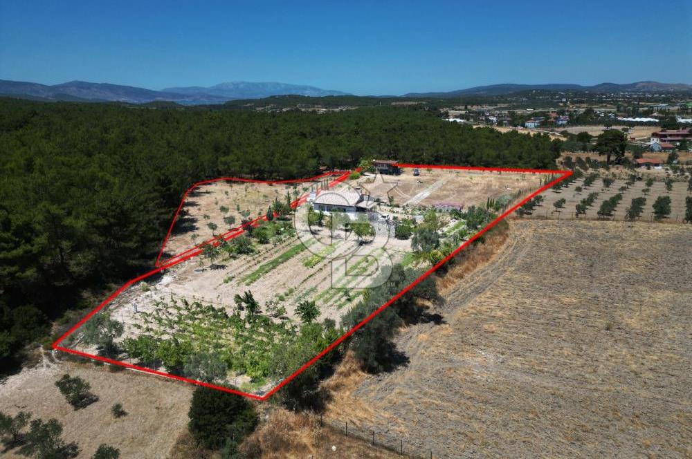 URLA KUŞÇULARDA SATILIK ÇİFTLİK