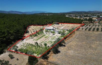 URLA KUŞÇULARDA SATILIK ÇİFTLİK