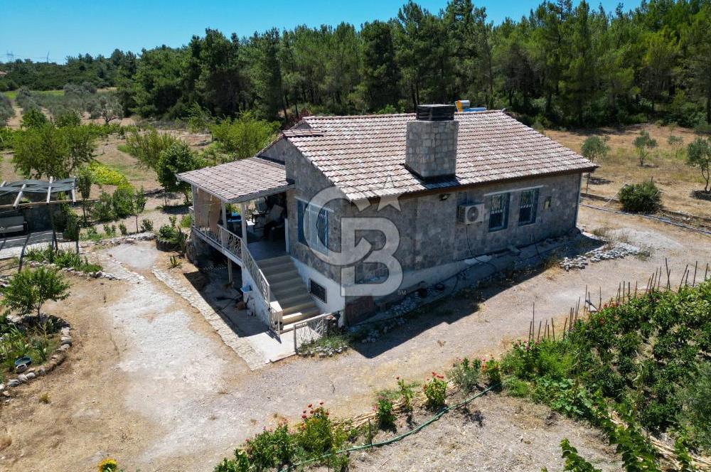 URLA KUŞÇULARDA SATILIK ÇİFTLİK