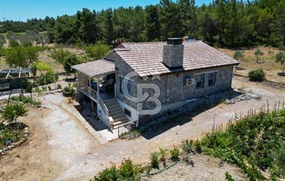 URLA KUŞÇULARDA SATILIK ÇİFTLİK