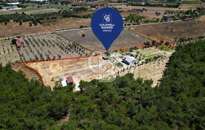 URLA KUŞÇULARDA SATILIK ÇİFTLİK