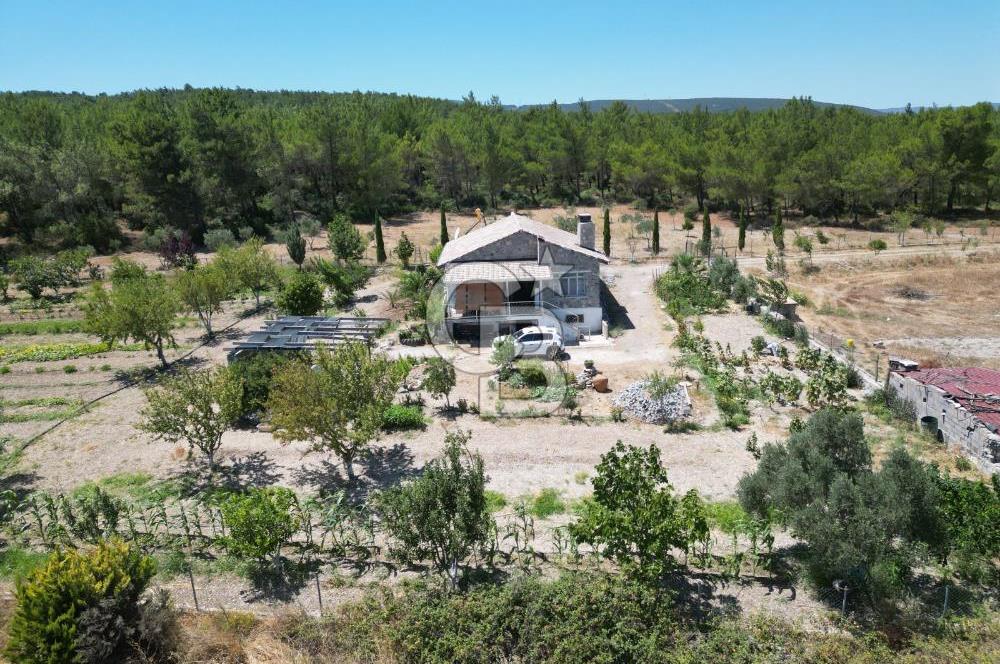 URLA KUŞÇULARDA SATILIK ÇİFTLİK