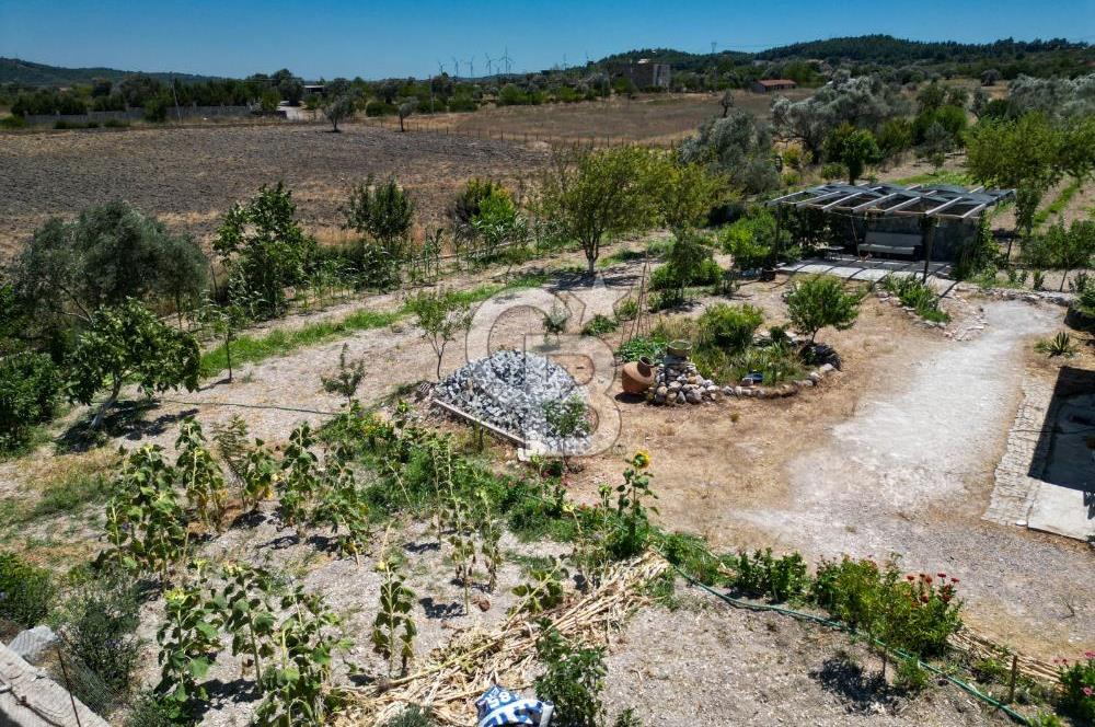 URLA KUŞÇULARDA SATILIK ÇİFTLİK