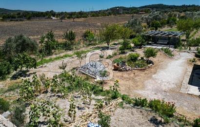 URLA KUŞÇULARDA SATILIK ÇİFTLİK