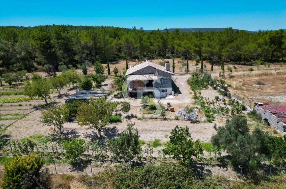 URLA KUŞÇULARDA SATILIK ÇİFTLİK
