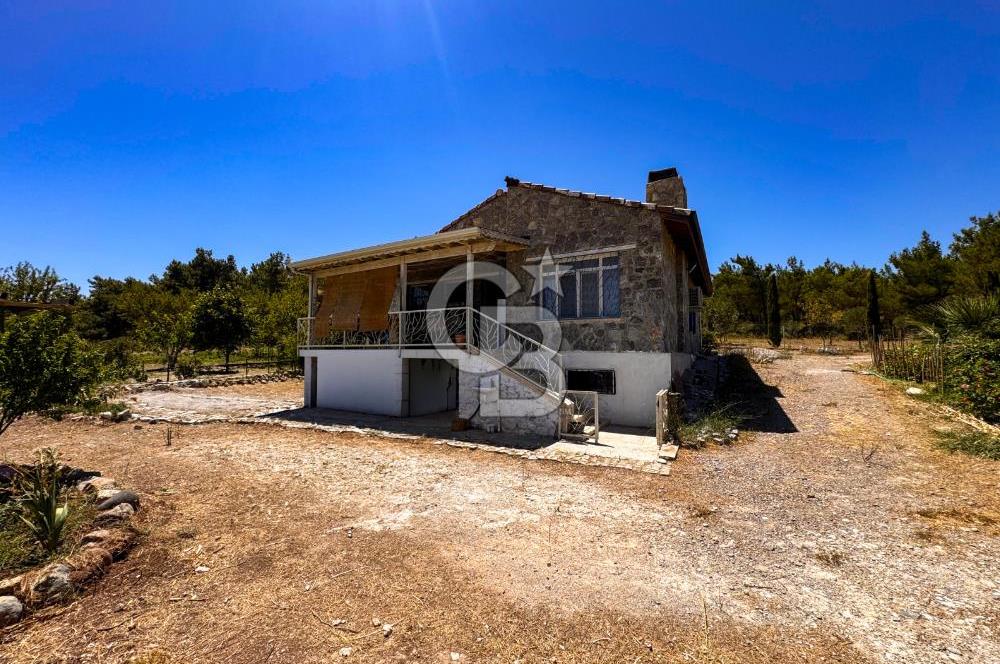 URLA KUŞÇULARDA SATILIK ÇİFTLİK