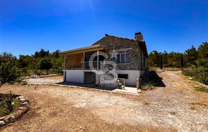 URLA KUŞÇULARDA SATILIK ÇİFTLİK