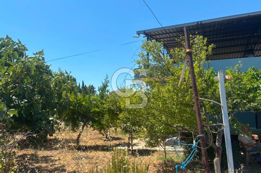 Torbalı Kuşçuburun da satılık 2+1 800 m2lik bahçeli ev