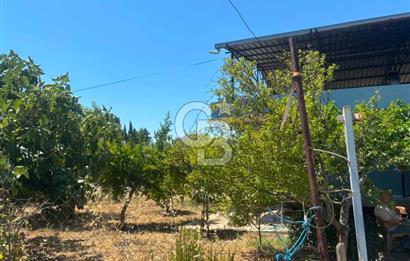 Torbalı Kuşçuburun da satılık 2+1 800 m2lik bahçeli ev