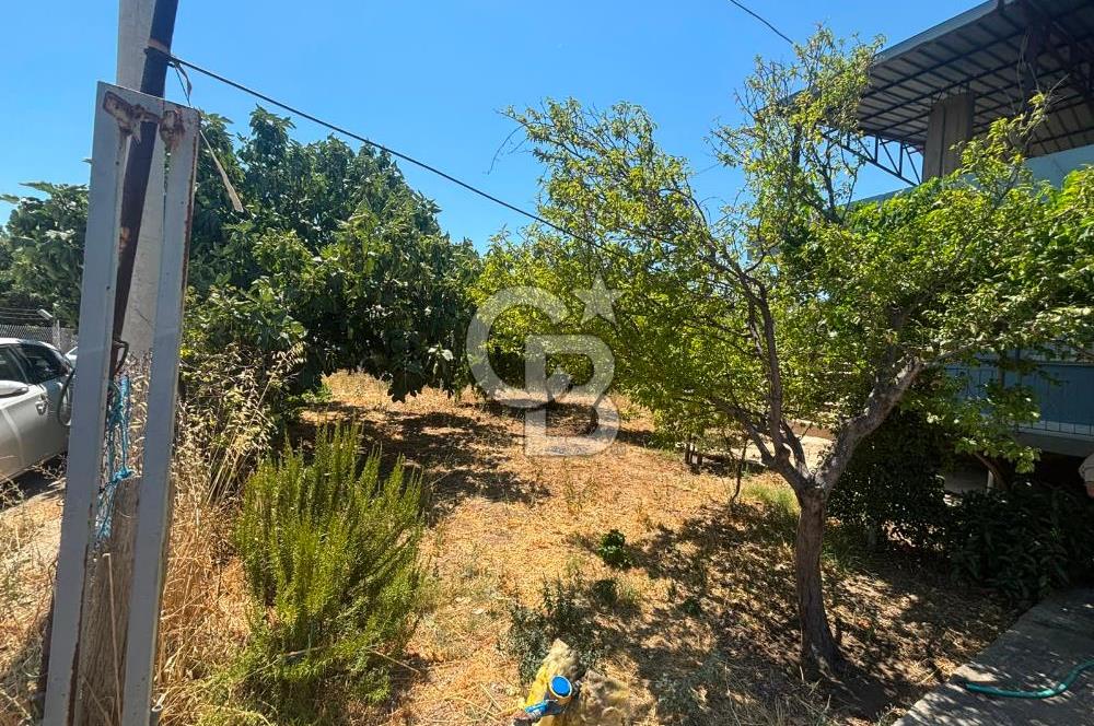 Torbalı Kuşçuburun da satılık 2+1 800 m2lik bahçeli ev