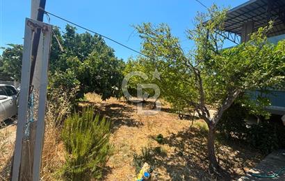 Torbalı Kuşçuburun da satılık 2+1 800 m2lik bahçeli ev