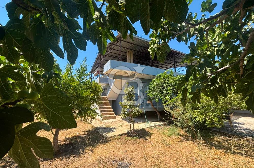 Torbalı Kuşçuburun da satılık 2+1 800 m2lik bahçeli ev