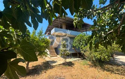 Torbalı Kuşçuburun da satılık 2+1 800 m2lik bahçeli ev