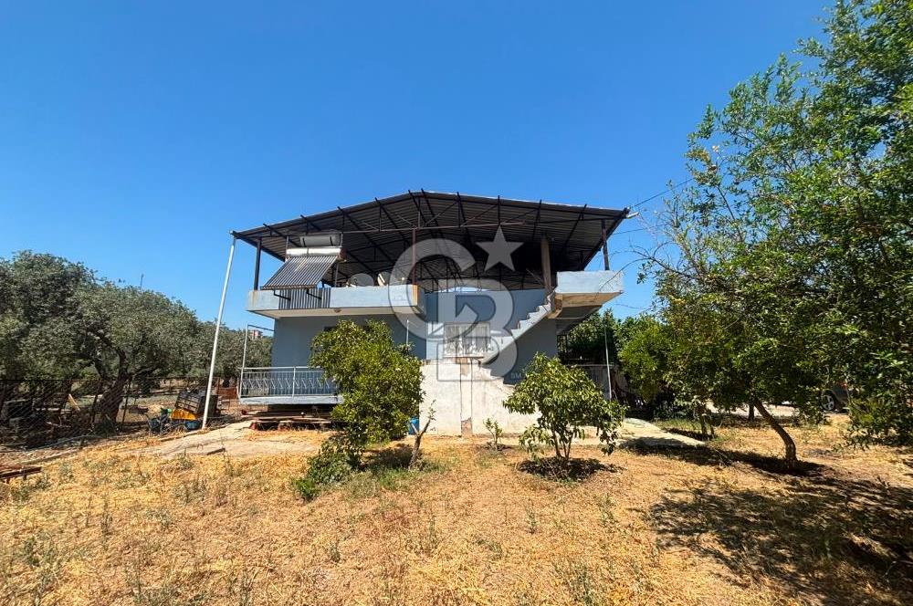 Torbalı Kuşçuburun da satılık 2+1 800 m2lik bahçeli ev