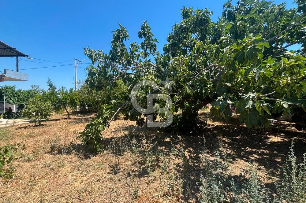 Torbalı Kuşçuburun da satılık 2+1 800 m2lik bahçeli ev