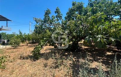 Torbalı Kuşçuburun da satılık 2+1 800 m2lik bahçeli ev