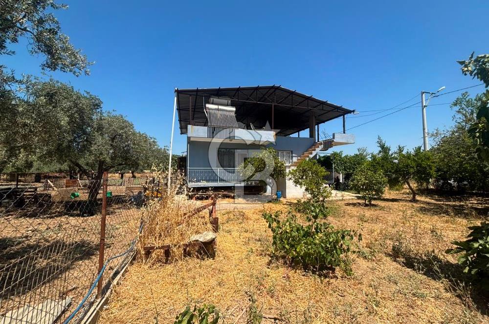 Torbalı Kuşçuburun da satılık 2+1 800 m2lik bahçeli ev