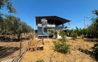 Torbalı Kuşçuburun da satılık 2+1 800 m2lik bahçeli ev