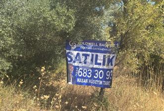 Torbalı Çapak'ta asfalt yolu olan satılık 2717m2 zeytinlik - 2 - 364517