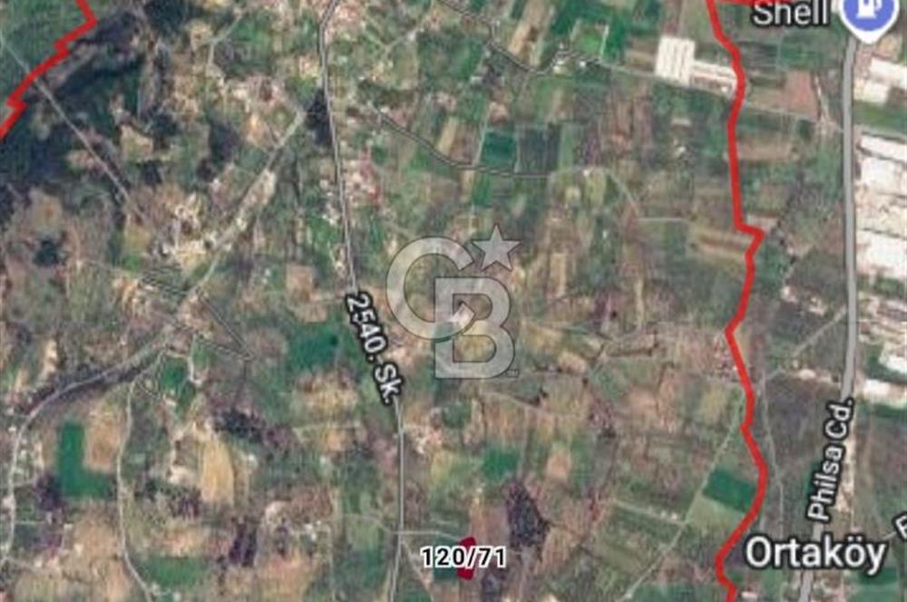 Torbalı Çapak'ta asfalt yolu olan satılık 2717m2 zeytinlik