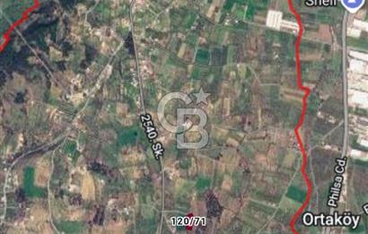 Torbalı Çapak'ta asfalt yolu olan satılık 2717m2 zeytinlik