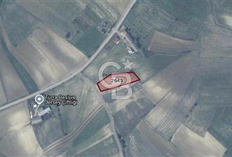 Sakarya Kaynarca'da Satılık Tarla - 1 - 364514